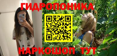 скорость Гусь-Хрустальный