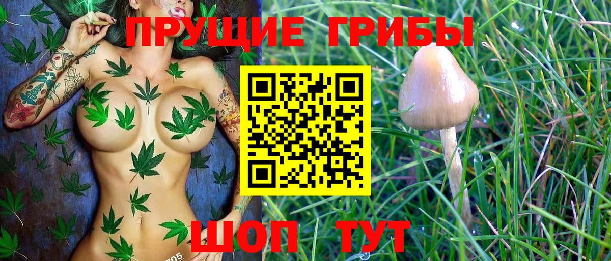 Канабис  Меф  МЕТАМФЕТАМИН  Героин  LSD-25  Псков  Гашиш  Мефедрон   Вход с VPN 