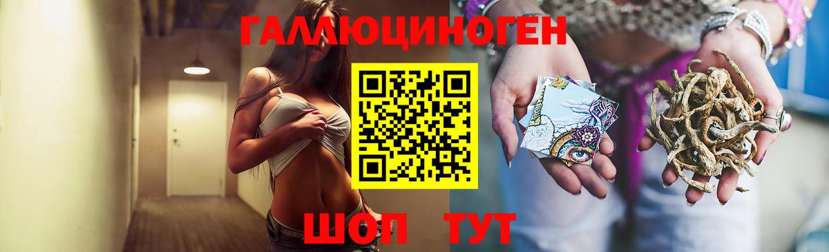 Псков  Псилоцибиновые грибы MAGIC MUSHROOMS  Вход с VPN  купить наркотик  Псилоцибиновые грибы прущие грибы 