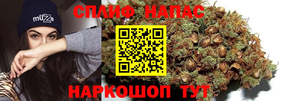 Каннабис гибрид Псков